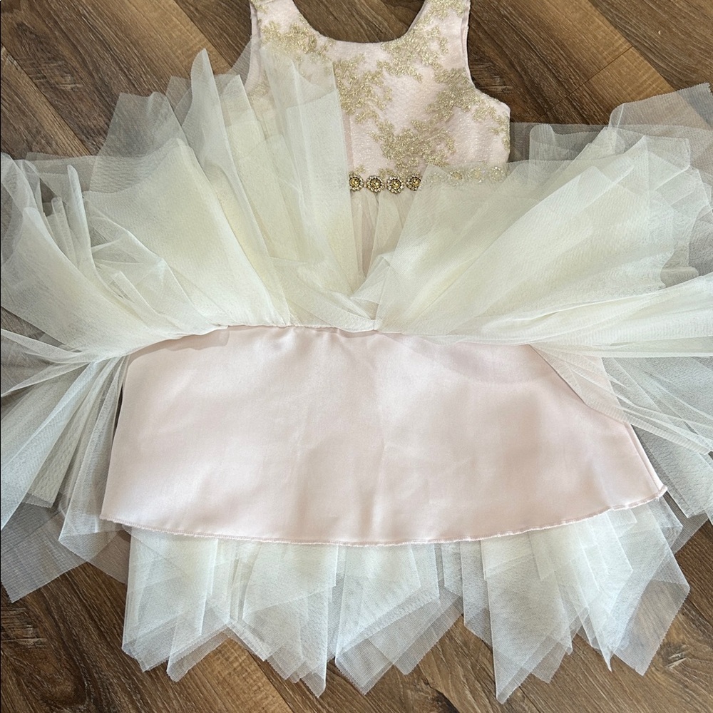 American Princess Girls Toddler Dress Beautiful Fancy Light Pink, Gold, & White - Picture 5 of 13